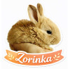 Zvířátka králík