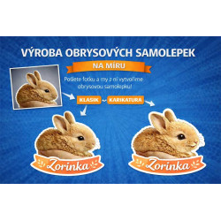 Zvířátka králík