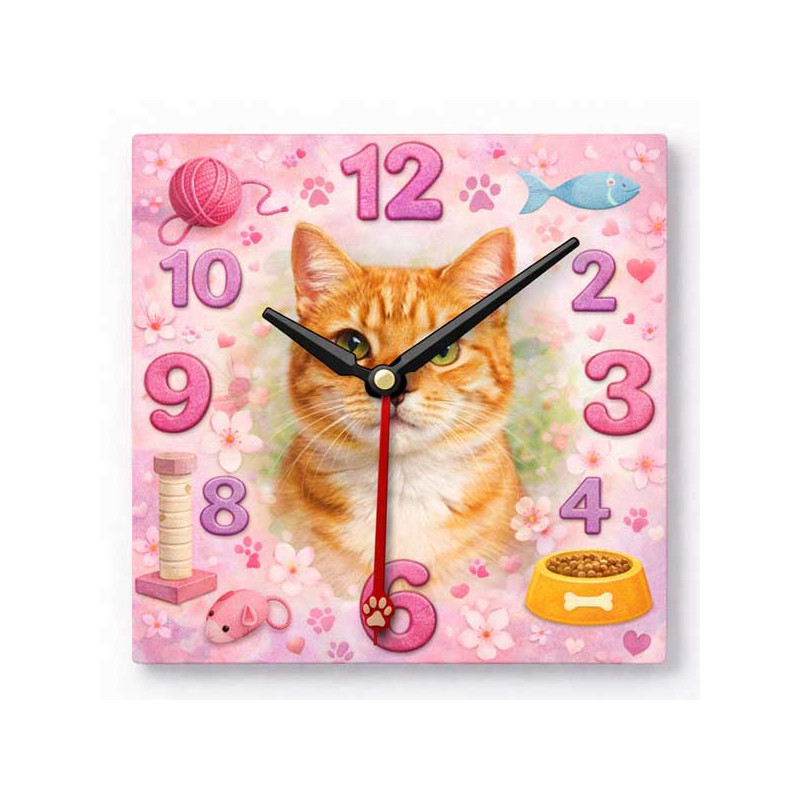 Hodiny z vlastní fotografie – kočka