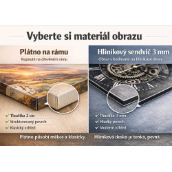 Fotoobraz 40 × 60 cm – obraz na plátně z vlastní fotografie