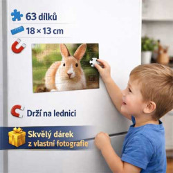 Magnetické puzzle 18 × 13 cm | 63 dílků
