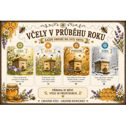 Naučná cedule Včely v průběhu roku – Život včel od jara do zimy