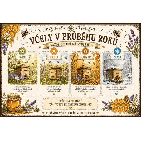 Naučná cedule Včely v průběhu roku – Život včel od jara do zimy