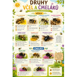 Naučná cedule Druhy včel a čmeláků – Přehled opylovačů