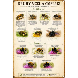 Naučná cedule Druhy včel a čmeláků – Detailní atlas opylovačů