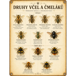 Naučná cedule Druhy včel a čmeláků – Minimalistický přehled opylovačů