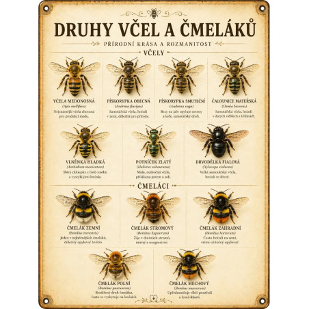 Naučná cedule Druhy včel a čmeláků – Minimalistický přehled opylovačů