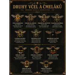 Naučná cedule Druhy včel a čmeláků – Luxusní černo-zlatý design