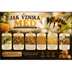 Naučná cedule Jak vzniká med – Cesta medu krok za krokem