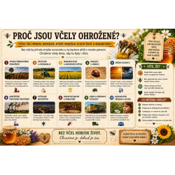 Naučná cedule Proč jsou včely ohrožené – Hrozby pro včely a přírodu