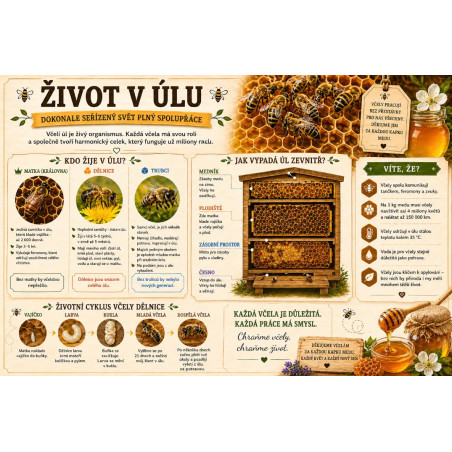 Naučná cedule Život v úlu – Dokonale organizovaný svět včel