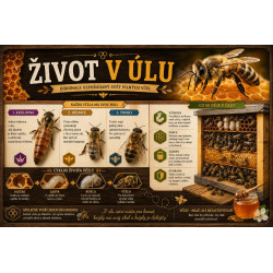 Naučná cedule Život v úlu – Dokonale uspořádaný svět pilných včel