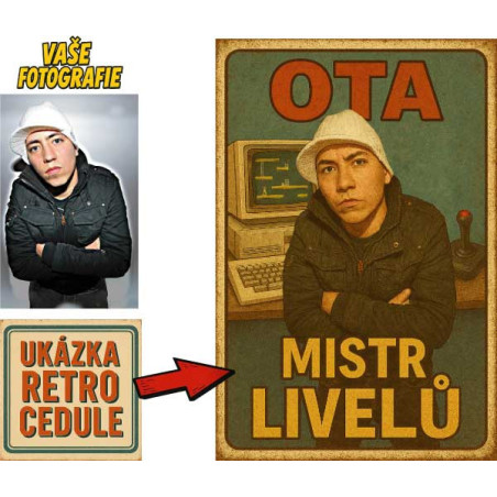 Retro cedule - Počítačové hry