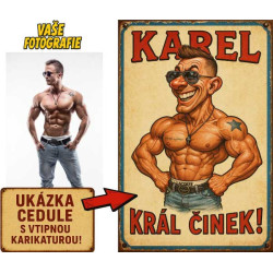 Retro cedule - Počítačové hry