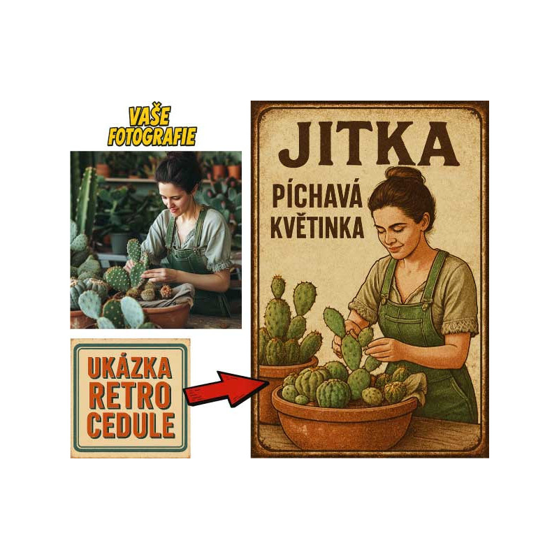 Retro cedule - Kaktusaření