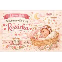 Cedule - narození dítěte 3